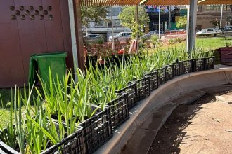 WhatsApp Image 2026-04-01 at 16.03.40 (1).jpeg